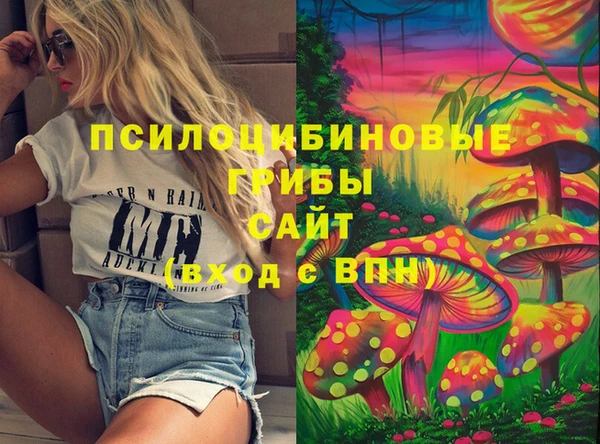 ПСИЛОЦИБИНОВЫЕ ГРИБЫ Володарск