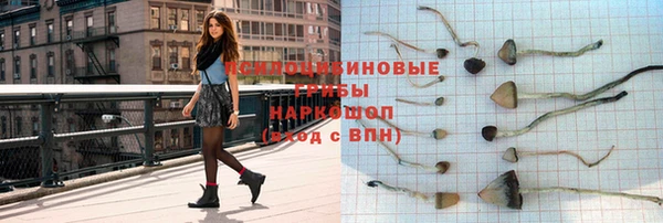 ПСИЛОЦИБИНОВЫЕ ГРИБЫ Володарск