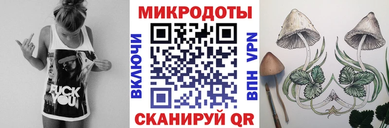 Купить где  Маркс  Галлюциногенные грибы MAGIC MUSHROOMS 